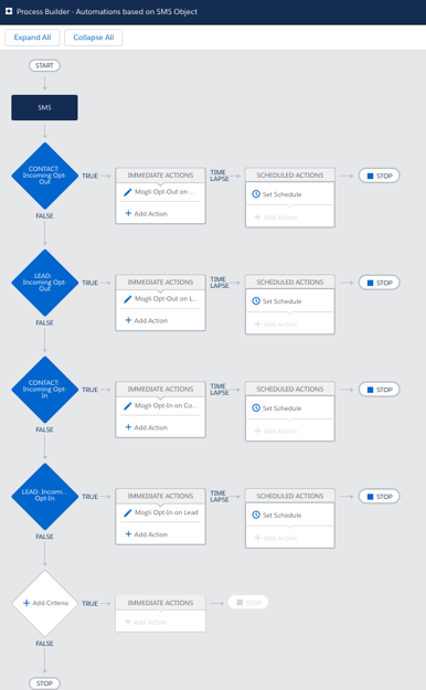 Process Builder view with Opt-in and opt-out automation