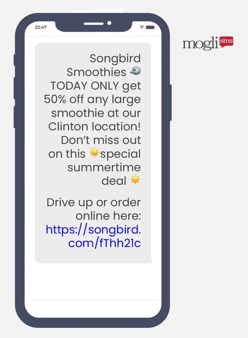 SMS Marketing Strategy_Promotional