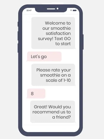 Example of an SMS feedback survey