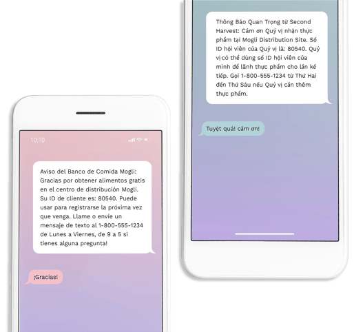 Overcome language barriers with Mogli SMS