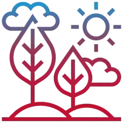 salesforce-native-app-mogli-sms-isv-1