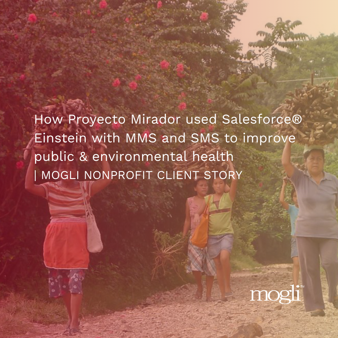 old and young women carrying large piles of wood on their heads down rural dirt road with gradient overlay, mogli logo and title, 