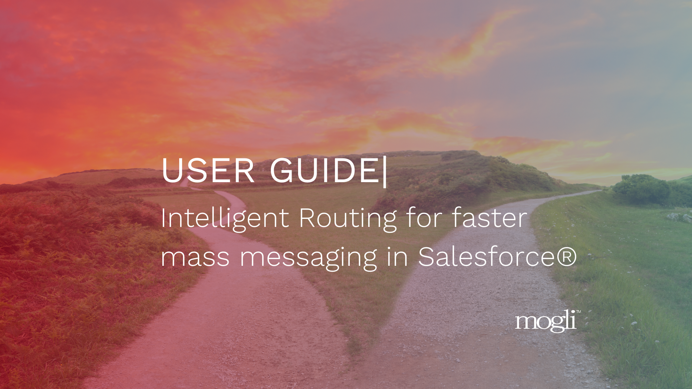 User guide | intelligent routing for faster mass messaging in Salesforce title with mogli logo and gradient overlaying splitting dirt roads through rolling hills with a sunset sky