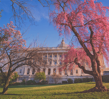 Feature_block_Military_Government_home