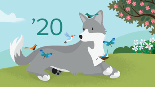 Mogli SMS & WhatsApp Upgrade for 2020 Salesforce Updates
